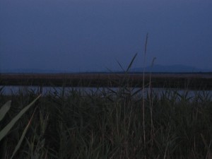 IMG_1049
