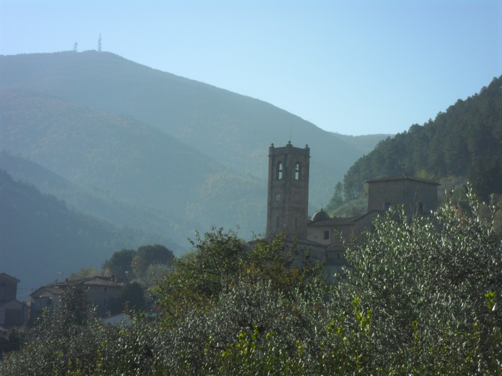 Borgo delle Camelie