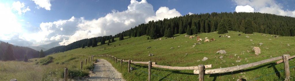 2014-08-01 18.59.27