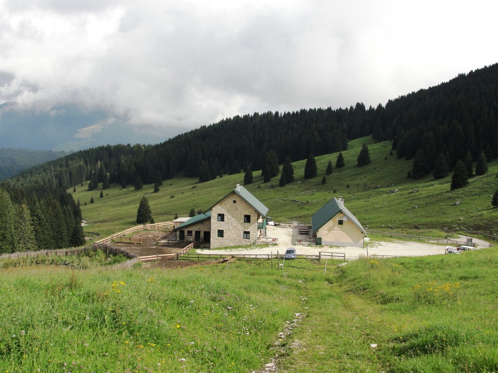 DSC07392