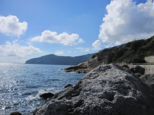 IMG_0303