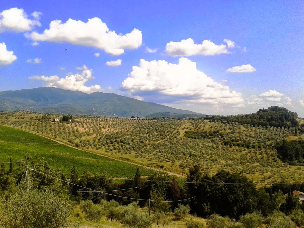 Picnic all'Abbazia di Vallombrosa in Valdisieve