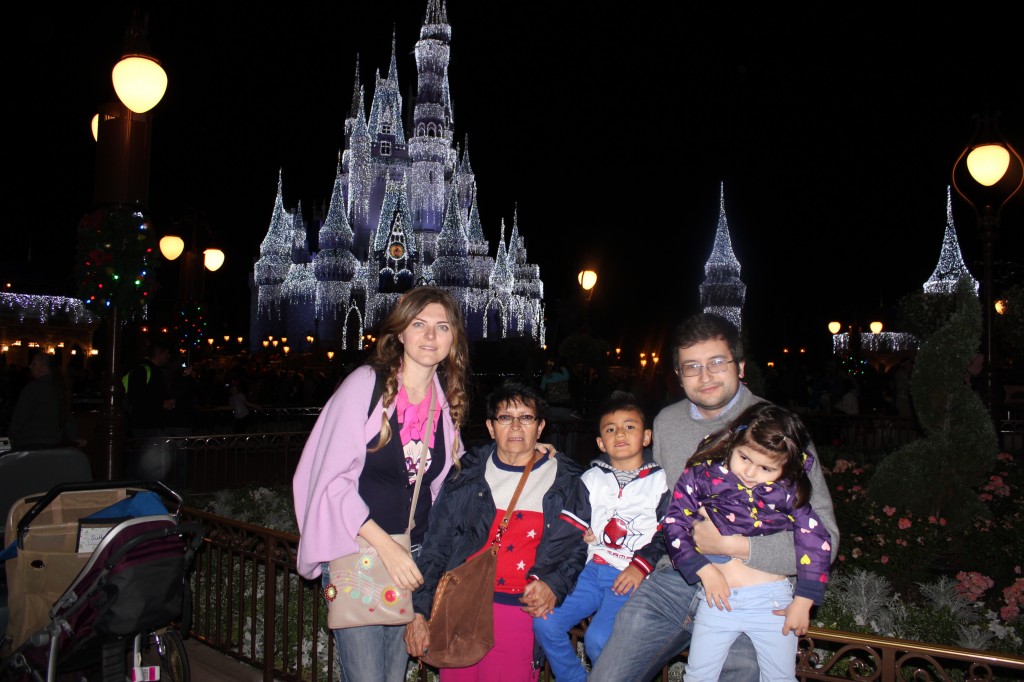 castello disney florida