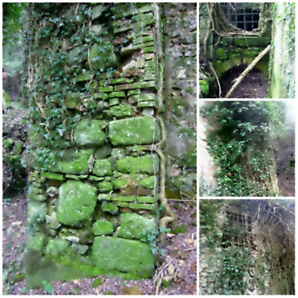 collage