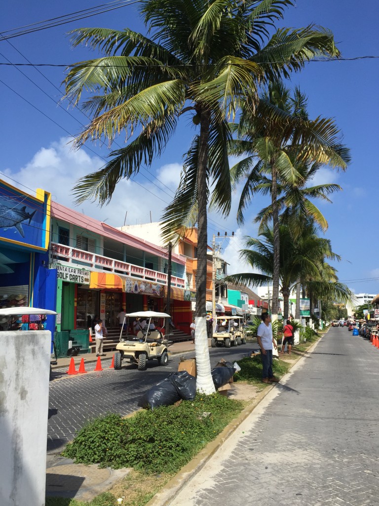 isla mujeres palme