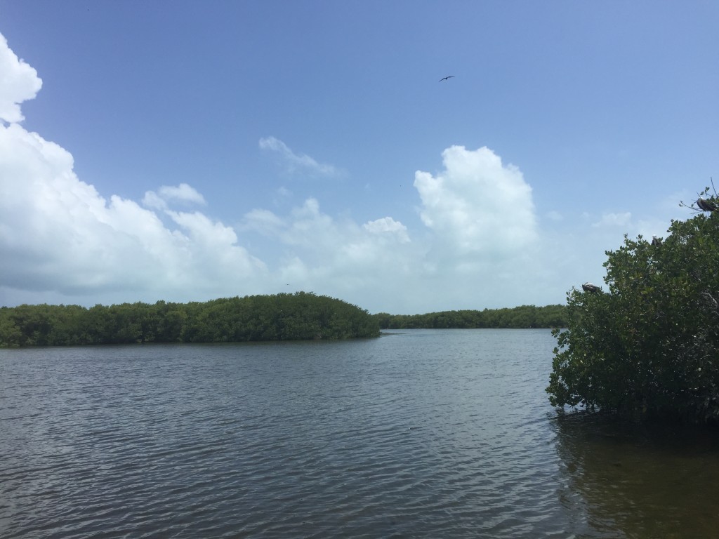 messico isla contoy