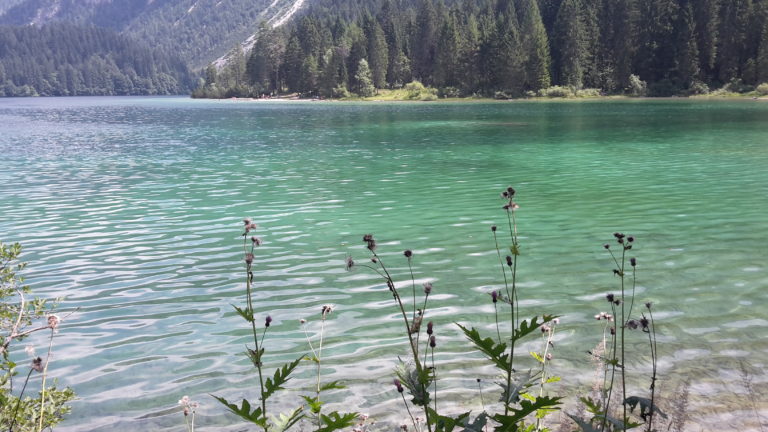 lago di tovel acque verdi