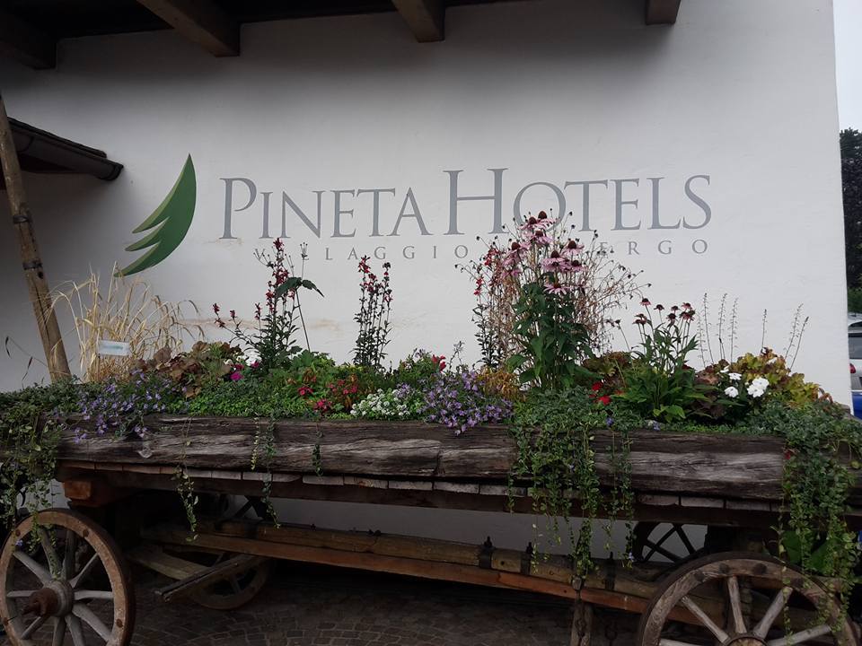 pineta hotels foto