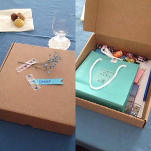 welcome-box-BloggingExperience-a-Viareggio