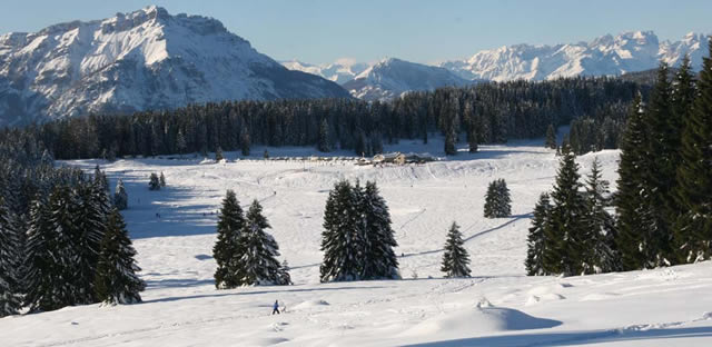 ph-centro-fondo-millegrobbe-02