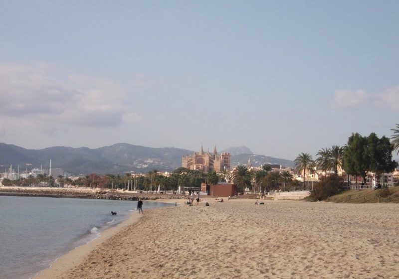 spiaggia di palma di maiorca in inverno