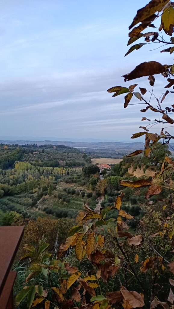 colline della valdichiana