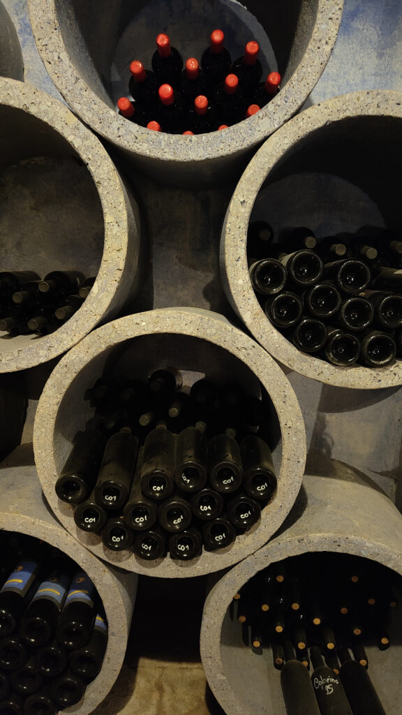 PARTICOLARE DELLA CANTINA TENUTA IL CORNO