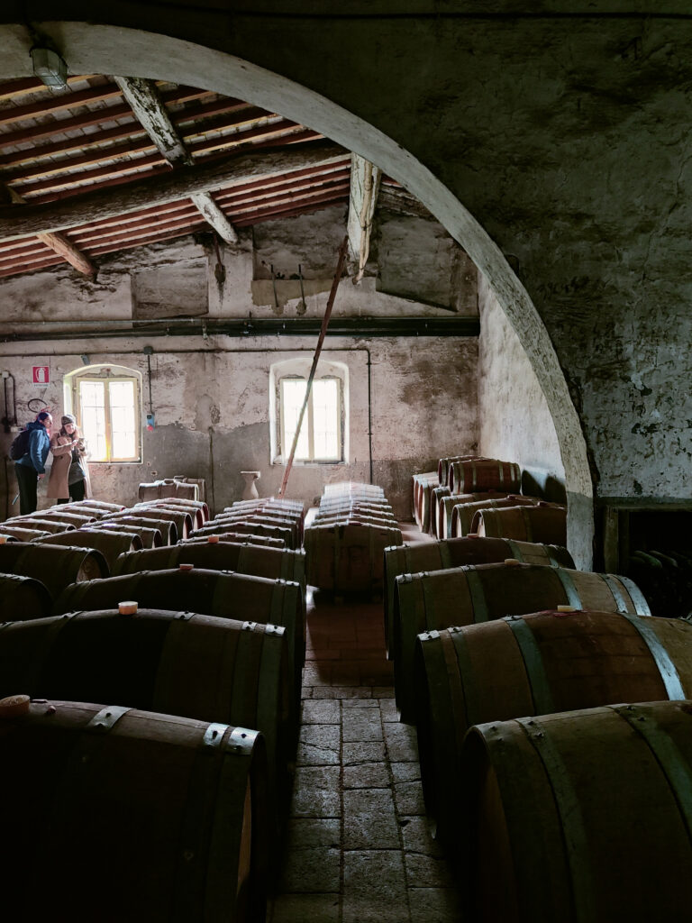 SOTTOTETTO DELLA CANTINA DI VILLA LE CORTI