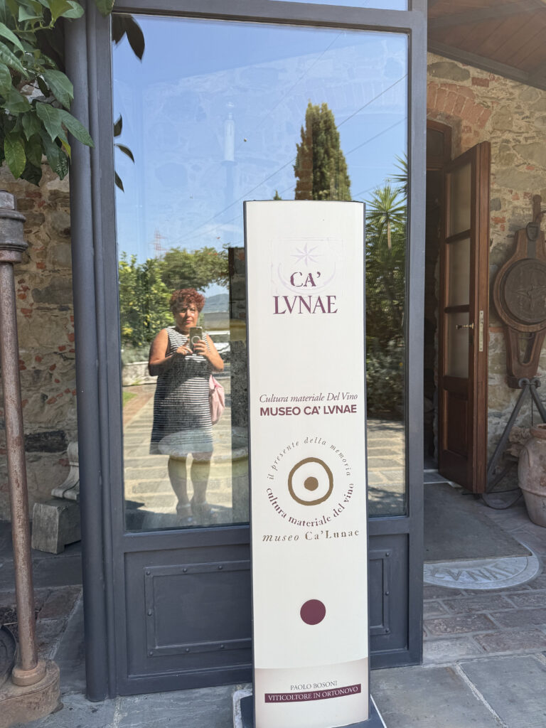 ca lunae ingresso al museo