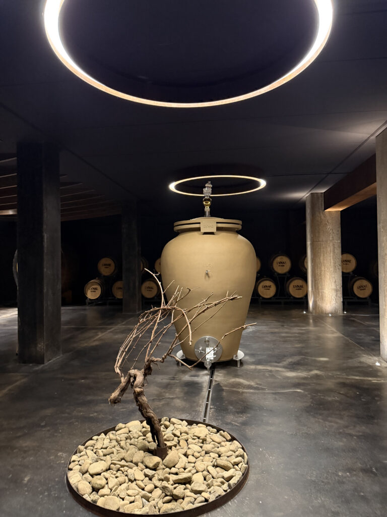 cantina lunae anfore col vino padre e figlio