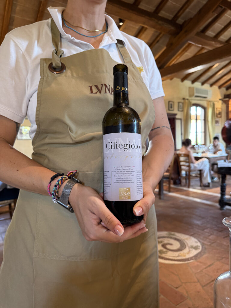 vini di cantina lunae all'ostaia ca lunae